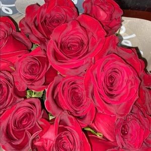 Meet your Posher, Kari